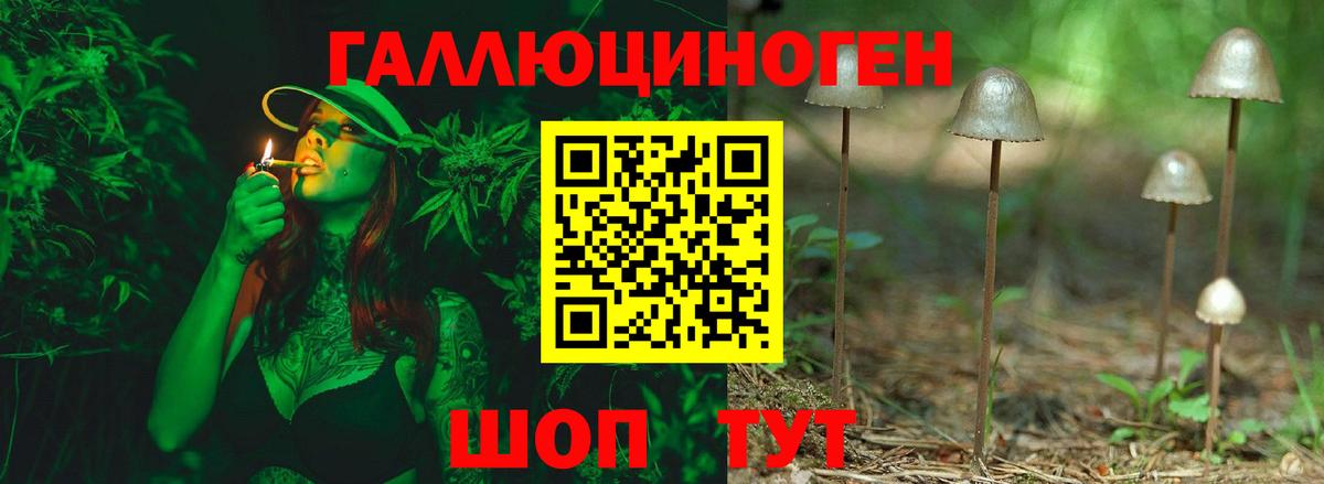 Псилоцибиновые грибы прущие грибы  как найти наркотики  Соликамск  Вход с VPN  Галлюциногенные грибы Cubensis 